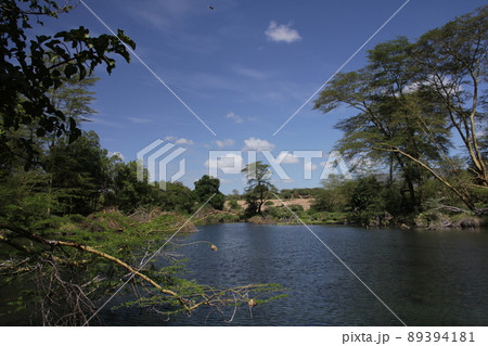 青い空　青い泉　ムジマスプリングス 89394181
