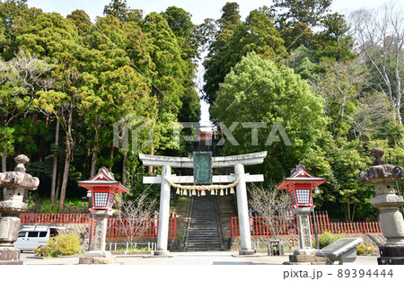 宮城県　塩釜市　鹽竈神社　石鳥居と表参道 89394444