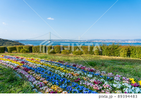 兵庫県淡路市 花咲く淡路島から見る明石海峡大橋(パールブリッジ) 兵庫県淡路市 花咲く淡路島から見る明石海峡大橋(パールブリッジ) 89394483