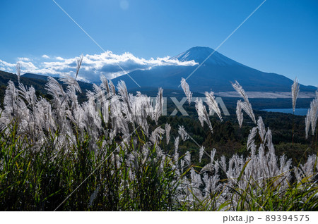 山中湖パノラマ台からの富士山 89394575