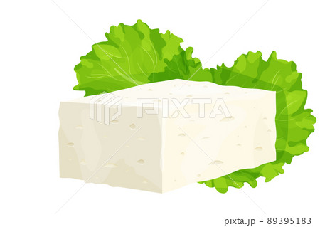 Feta cheese piece in cartoon style detailed ingredient isolated on white background. Greek curd white cheese made from sheeps milk or milk bean.  89395183