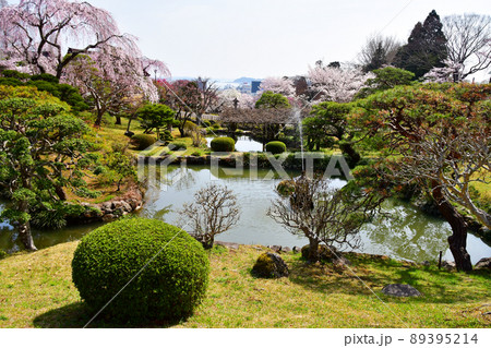 宮城県　塩釜市　志波彦神社・塩釜神社の神苑越に塩釜港を望む 89395214