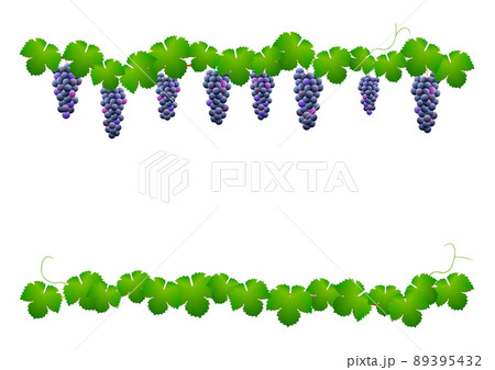 ブドウの蔓の縁飾りがついたフレーム 青色の実と緑色の葉がついた蔓と緑色の葉だけが付いた蔓 のイラスト素材