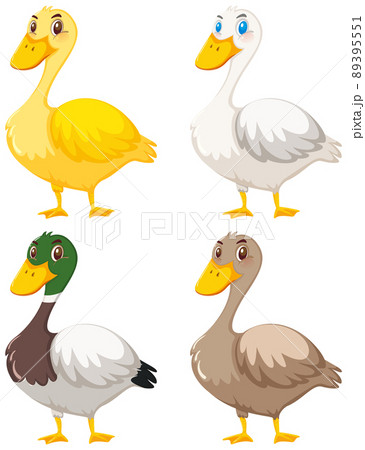 Set of cute duck cartoon Set of cute duck cartoon 89395551