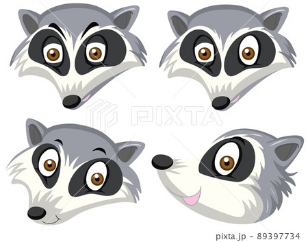 A set of raccoon head on white background 89397734