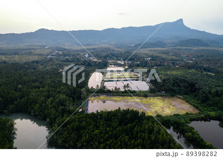 High angle mangrove forest and canal water 89398282