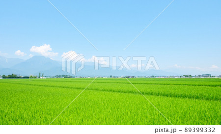 夏の田園風景 89399332