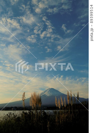 大石公園からの富士山 大石公園からの富士山 89399514