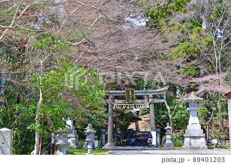 宮城県 塩釜市 鹽竈神社 石鳥居と東参道 宮城県 塩釜市 鹽竈神社 石鳥居と東参道 89401203