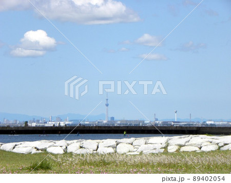 見川浜の四月の青い空と白い雲 89402054