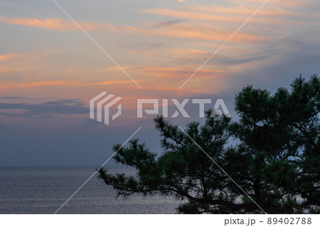 海と夕日と松の木のシルエット 海と夕日と松の木のシルエット 89402788