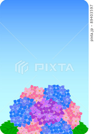 紫陽花の花と葉のシンプルな背景イラストのイラスト素材