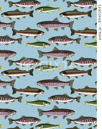 渓流魚 渓流魚 89403645