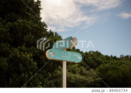 ニシ浜に向かう道 ニシ浜に向かう道 89403734