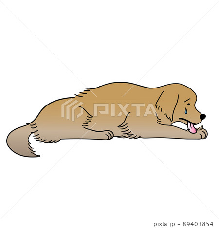 ストレスで手をなめる犬のイラスト素材