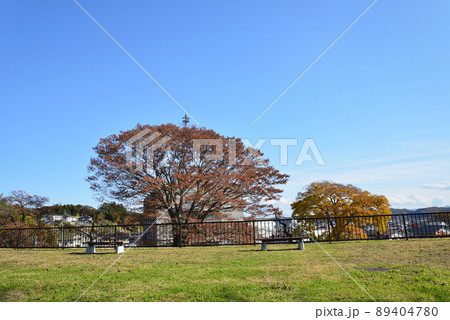 小峰城跡へ行きました #81 小峰城跡へ行きました #81 89404780