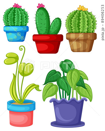 Set of different plants in pots Set of different plants in pots 89406253