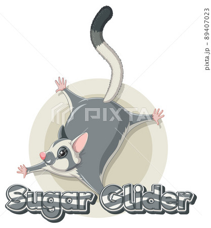 Sticker design with sugar glider 89407023