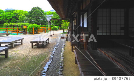 雨上がりの南楽園園内4 89407765