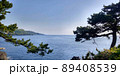 海と松がある晴れた日の風景～伊豆城ケ崎海岸 89408539