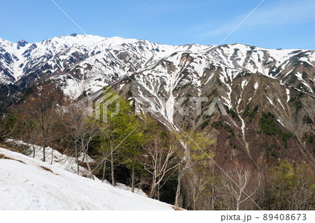早春の八方尾根 89408673