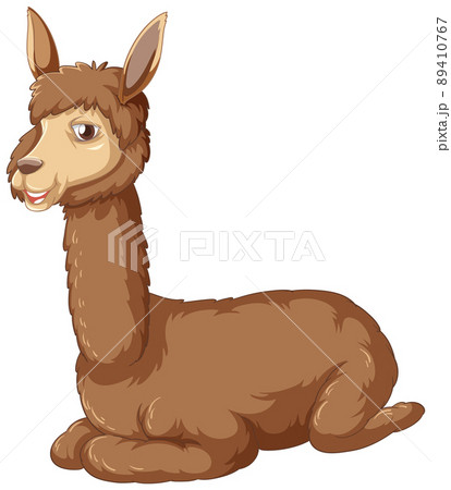 An alpaca on white background 89410767