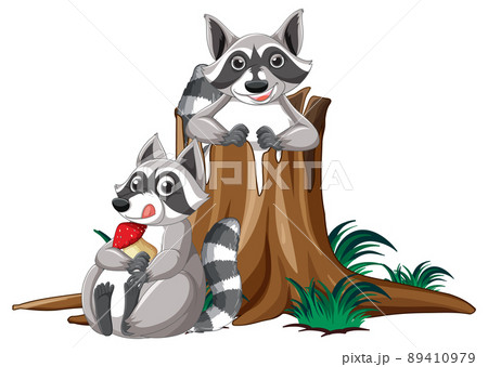 Two raccoons by the log Two raccoons by the log 89410979