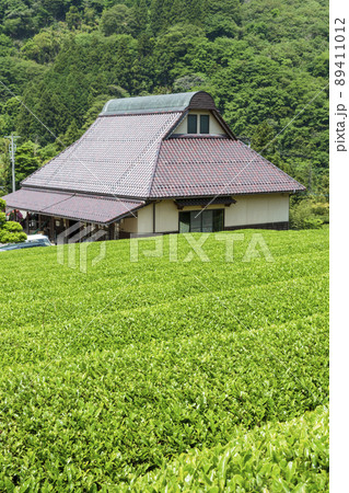 お茶畑とお茶の里唐川館 お茶畑とお茶の里唐川館 89411012