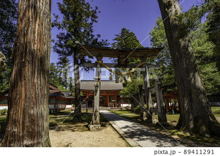 出石神社　二の鳥居　兵庫県豊岡市 89411291