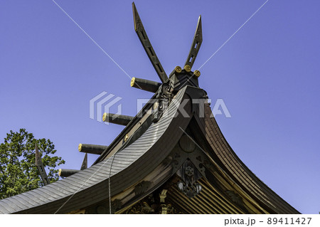 出石神社 本殿 兵庫県豊岡市 出石神社 本殿 兵庫県豊岡市 89411427