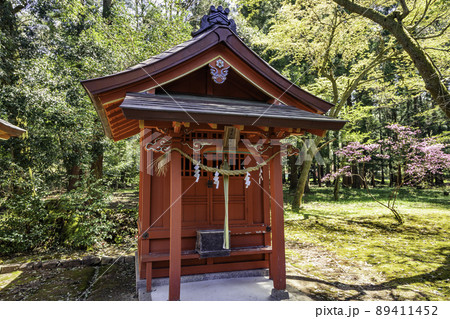 出石神社 夢見稲荷神社 兵庫県豊岡市 出石神社 夢見稲荷神社 兵庫県豊岡市 89411452