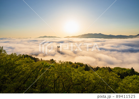 秩父の大雲海 89411525