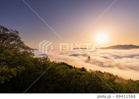 秩父の大雲海 秩父の大雲海 89411568