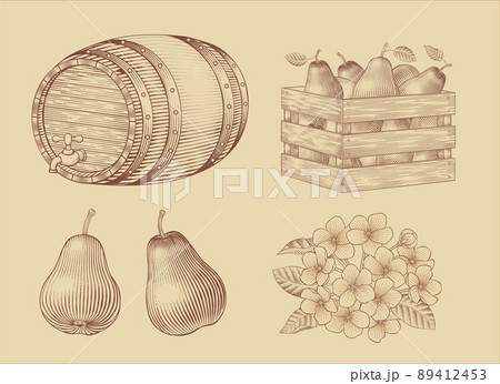 Pear fruit related elements 89412453