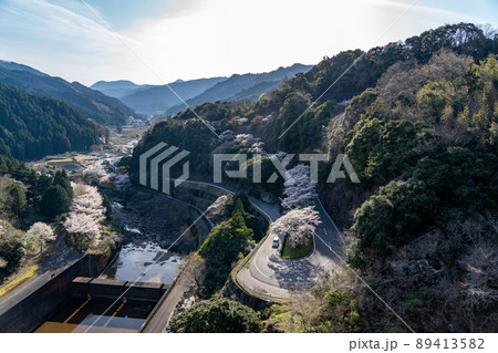 三重県　君ケ野ダムの桜と周辺の風景 89413582