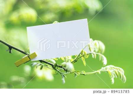 White blank paper card mock up on spring tree 89413785