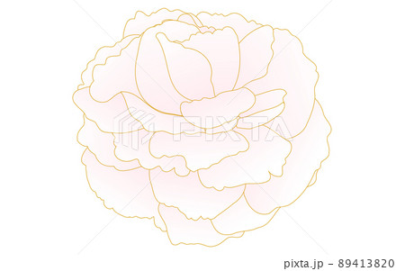 春の花・植物、ピンクグラデーションの八重桜（牡丹桜） 89413820