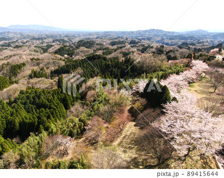 馬瀬野峠の高鼻公園の桜並木の空撮 馬瀬野峠の高鼻公園の桜並木の空撮 89415644