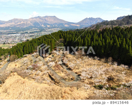 阿蘇の九十九曲高森自然公園の桜並木の空撮 89415646