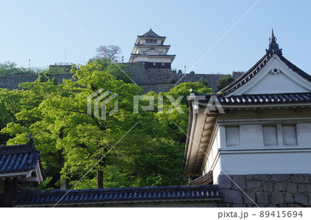 丸亀城 89415694