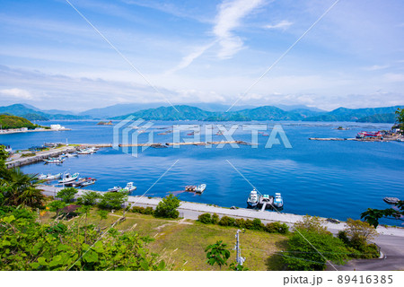 宇和島市　 遊子水ケ浦の段畑からの宇和海 89416385