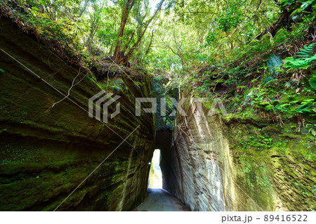 千葉県 富津市 燈籠坂大師の切通しトンネル 89416522