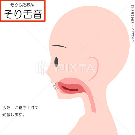 中国語の発音学習【そり舌音】 中国語の発音学習【そり舌音】 89416843