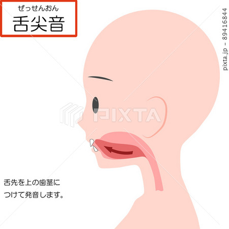 中国語の発音学習【舌尖音】 89416844