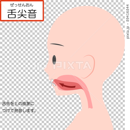 中国語の発音学習【舌尖音】 89416844