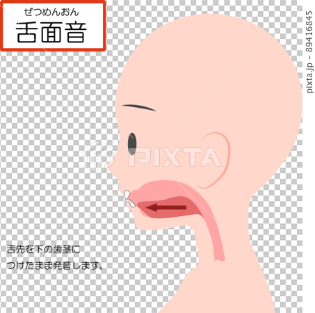 中国語の発音学習【舌面音】 89416845
