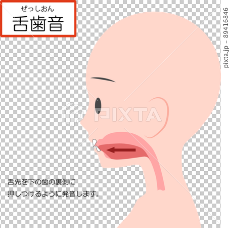 Chinese pronunciation learning [tongue and tooth sounds] 89416846