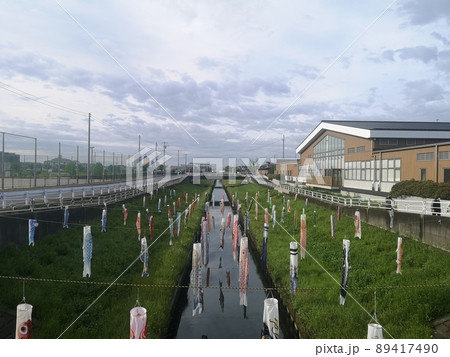 国分川にかかる鯉のぼり 89417490