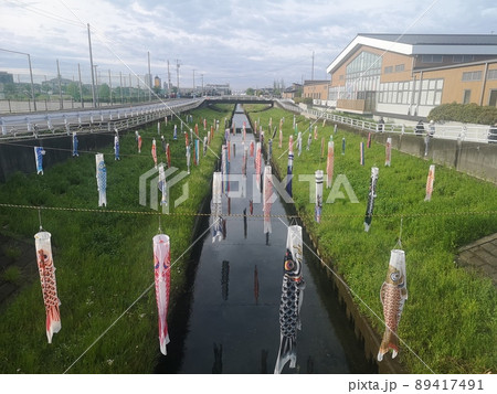 国分川にかかる鯉のぼり 89417491
