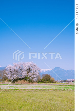 満開の桜と有明山【安曇野市穂高】 満開の桜と有明山【安曇野市穂高】 89417493